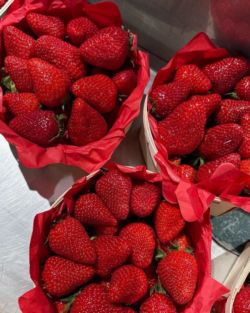 tmbIrpics's tweet photo. 🍓 🍓 https://t.co/FoPMUNTdfx