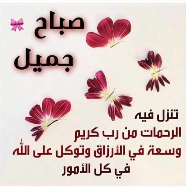 3llamSayed's tweet photo. @S96290751 https://t.co/uf1GKqx4p8