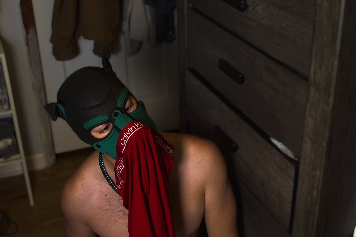 PupOrionGreen's tweet photo. Puppy found the laundry pile; immediately went for Sir’s musky undies, jocks, &amp; socks! 

#pupplay #underwear https://t.co/pAVXcLh0QR