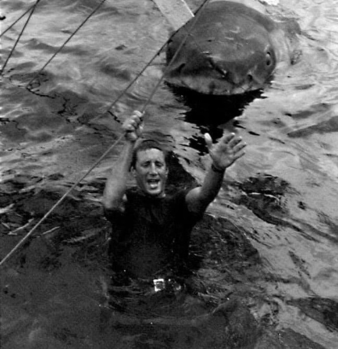 thedailyjaws's tweet photo. Roy Scheider and Bruce the shark between takes filming the climax of #JAWS (circa 1974). https://t.co/7IqWMhcyKs