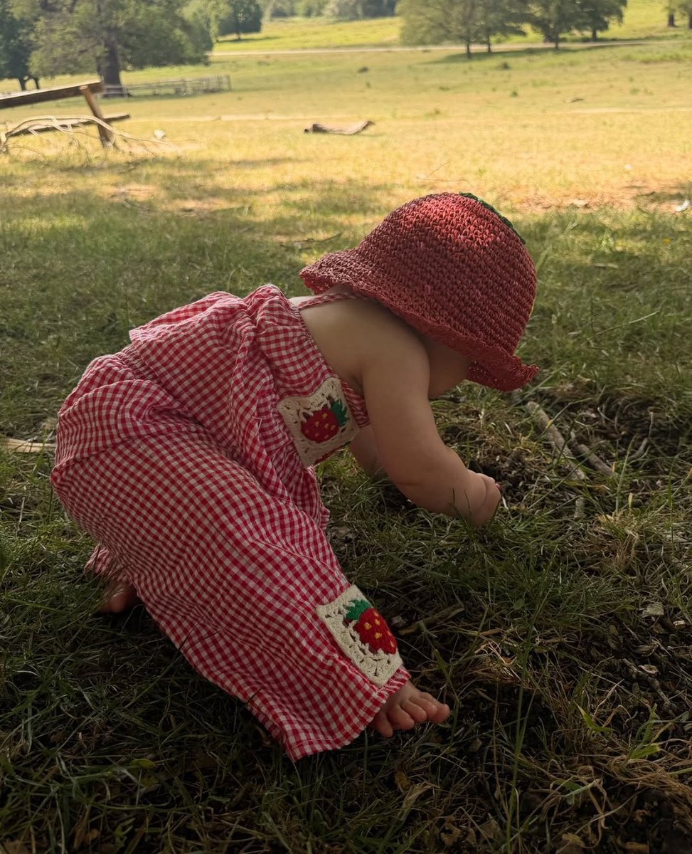 liricasoft's tweet photo. Fan de frutillita como su tía! 🍓 https://t.co/8aGtkMpz4C