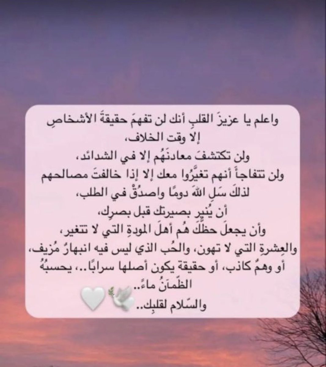 amemadl's tweet photo. https://t.co/wxuSPQo2zT