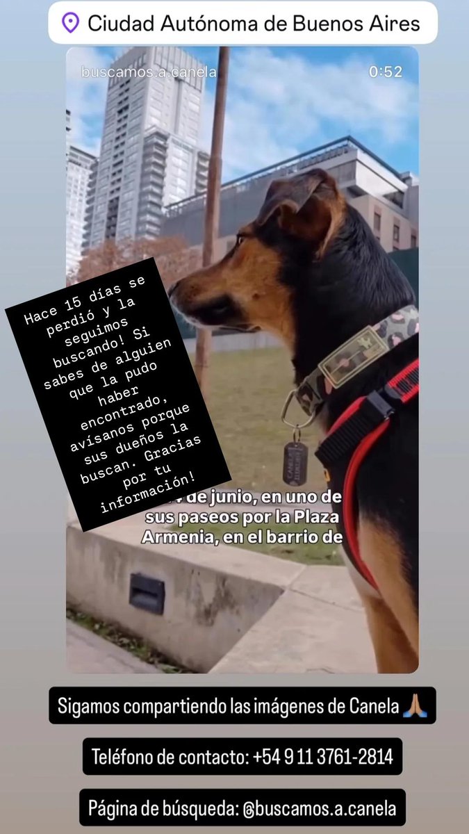 Estel_ZeroGlam's tweet photo. Seguimos buscando!!!
Cualquier información, los datos al pie de la foto! 
Gracias!! https://t.co/ryj8irASkX