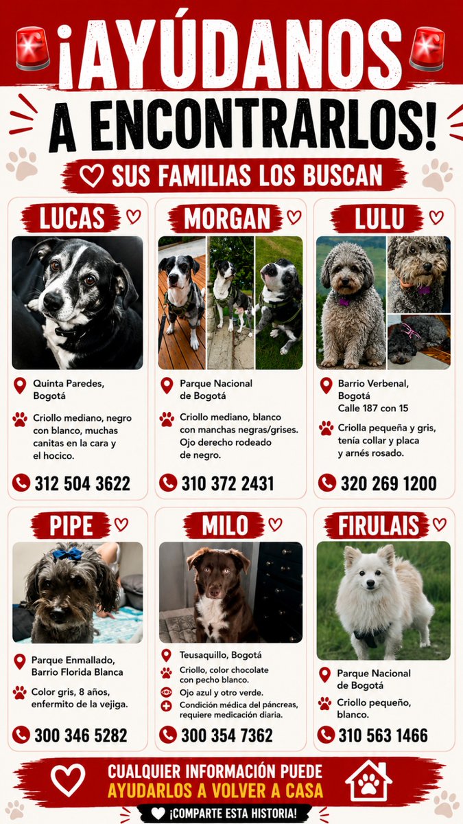 juanalajirafa's tweet photo. Entre más difusión hagamos, asi mismo habrá más probabilidad de que aparezcan estos perritus que sus familias buscan desesperadamente. https://t.co/IQp7MOgnxY