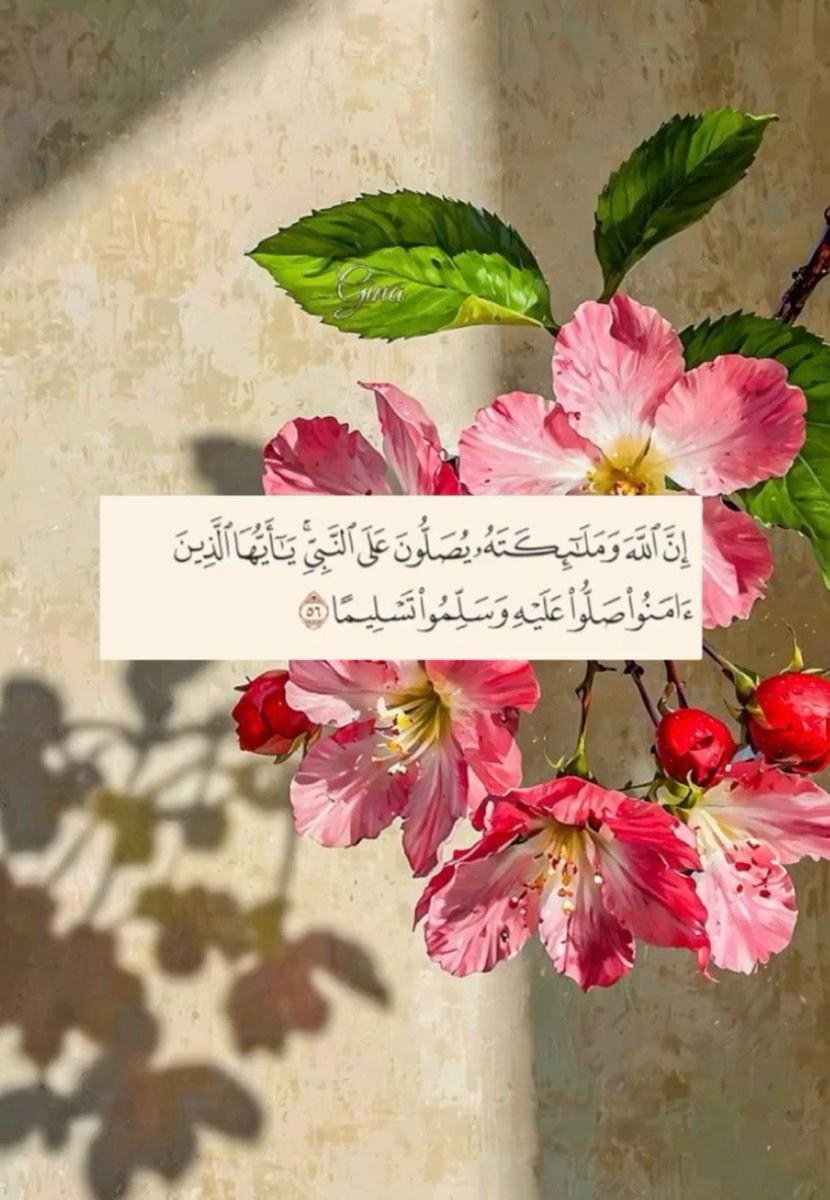 aisha_saud97's tweet photo. https://t.co/ixq3f91Iij