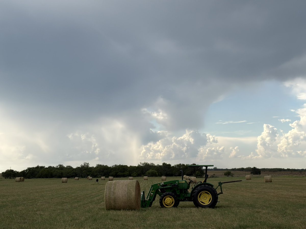 Xopherwolfgang's tweet photo. Texas baby https://t.co/cL8bBCDAWw
