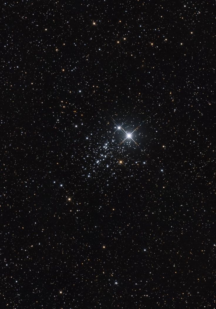 quarks2_quasars tweet picture