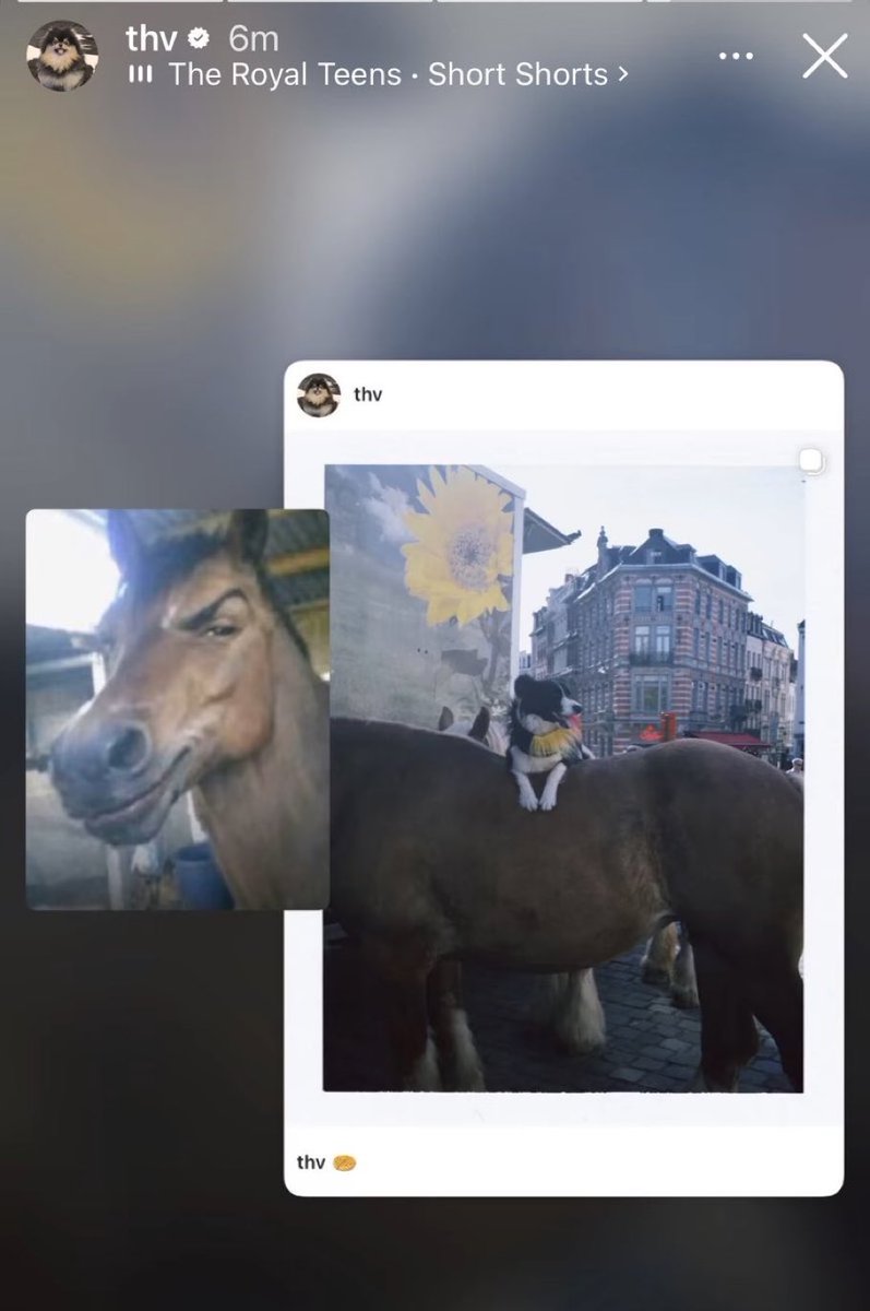 Grey tweet media