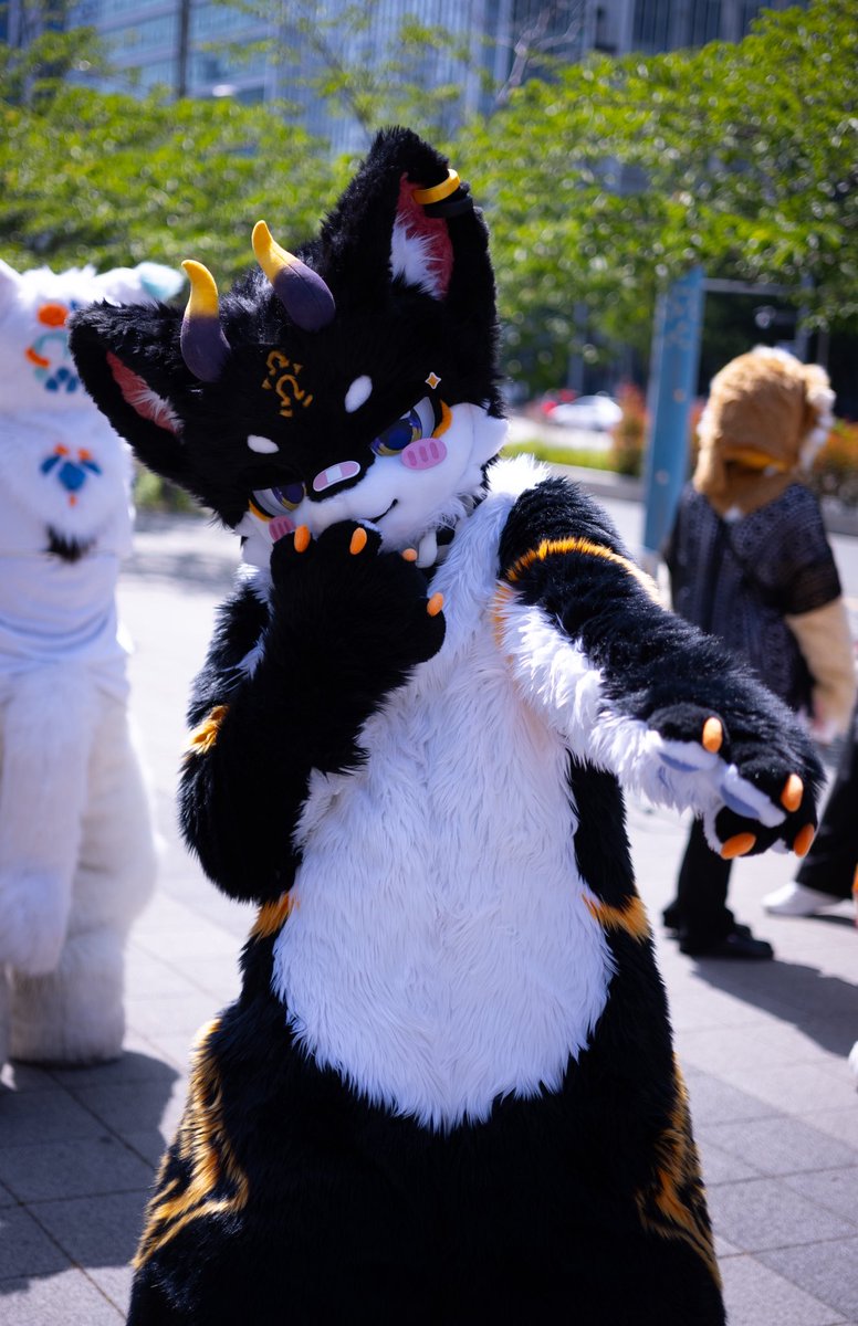 miyak7171's tweet photo. 저거 봐봐..!

#FursuitFriday #싱싱미얔_상태 https://t.co/OmUj2kr6P6