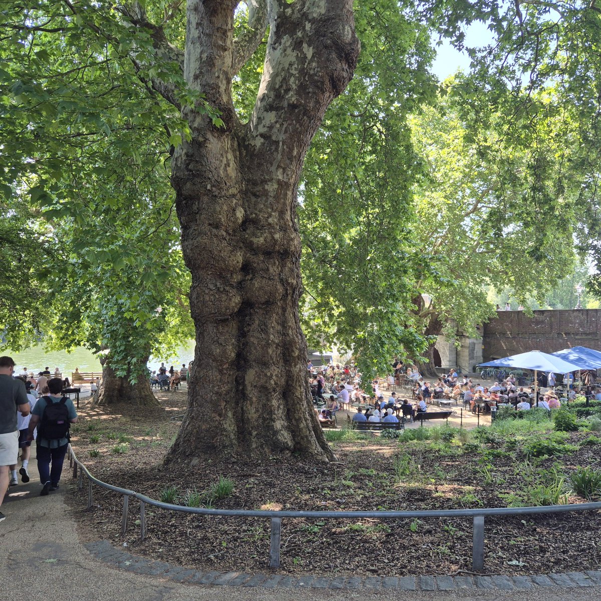 Thames Path National Trail tweet media