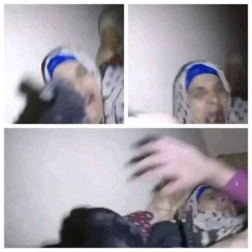 Partisangirl's tweet photo. @YungxJayy Here's a video of Israel using dogs to maul the face off on an elderly woman to accompany the expert of the account you read in that that book. https://t.co/cdcQLo6ZxD