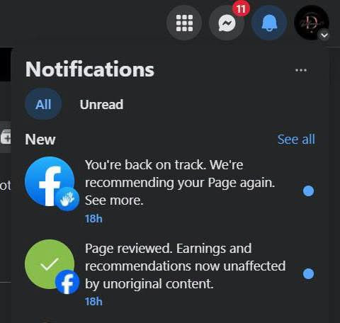 Publisher account restored after Facebook review with earnings and recommendations reinstated