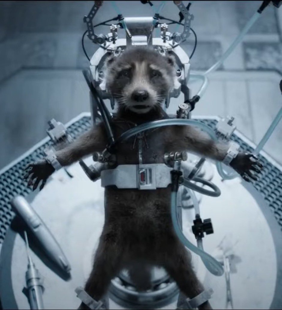 LightSpedd's tweet photo. asi m siento ahora mismo https://t.co/aNvTmnz2UJ