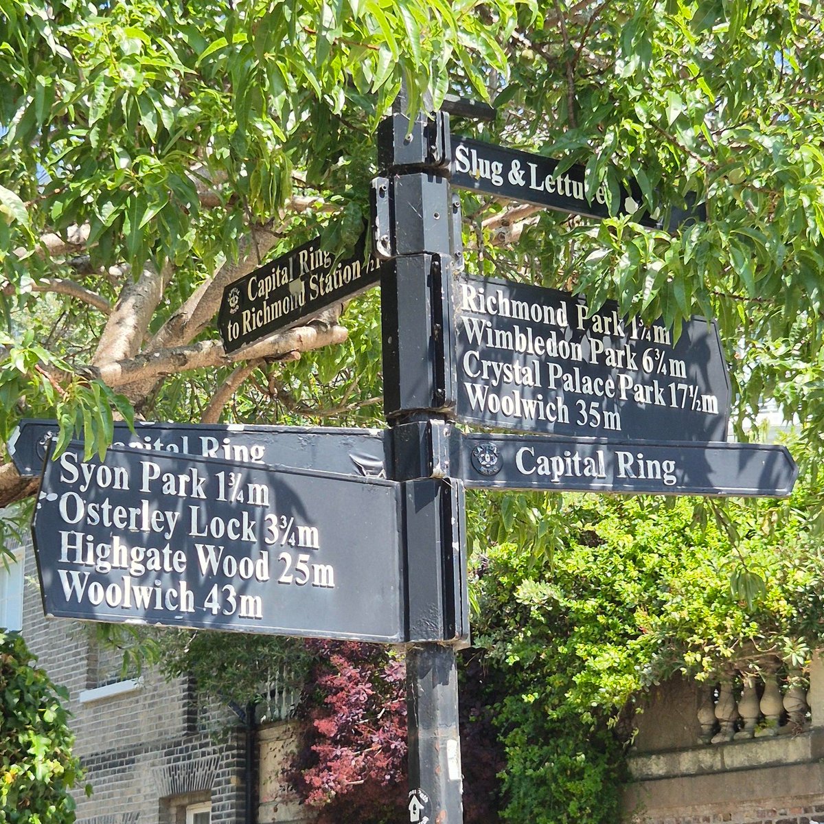 Thames Path National Trail tweet media