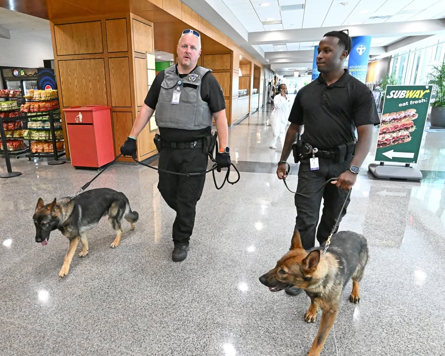 ololhealth's tweet photo. We're proud to welcome two new K-9 officers to the @FMOLHealth | Our Lady of the Lake security team! These highly trained K-9s and their handlers will help enhance safety across our Regional Medical Center and @OLOLChildrens Hospital campuses. Learn more: https://t.co/ioSUzxNdtM https://t.co/0FQlzAxHu9