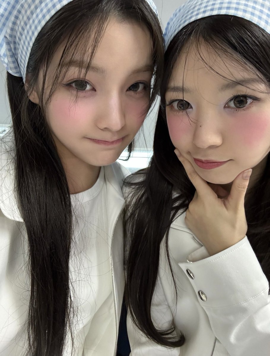Fujimon0703's tweet photo. モカロン☕️✖️🐢 https://t.co/berWc5wBqU