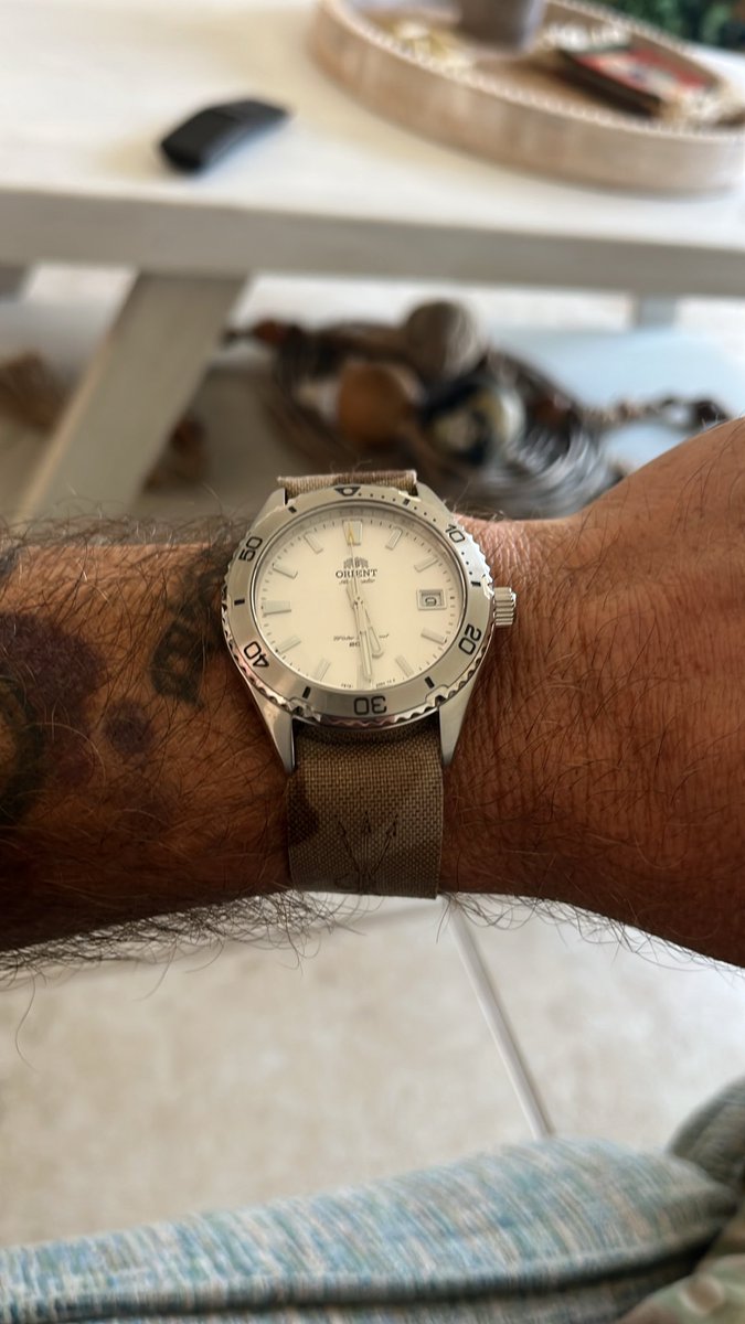 ballistical1863's tweet photo. @CHIGGERDICK @4nt1p4tt3rn I raise you one analog orient dive watch! Lmfao https://t.co/2AOwxgIWoV