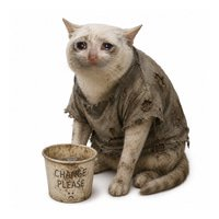 folttarb's tweet photo. $CASHCAT 100m 

$CASHLESS 50m

Don’t fade CASHLESS

CA: EUFdqYcKPrNrraJuKjHGtAahxmG9Y5NM8voqSbp1pump https://t.co/iWmB7p8inV