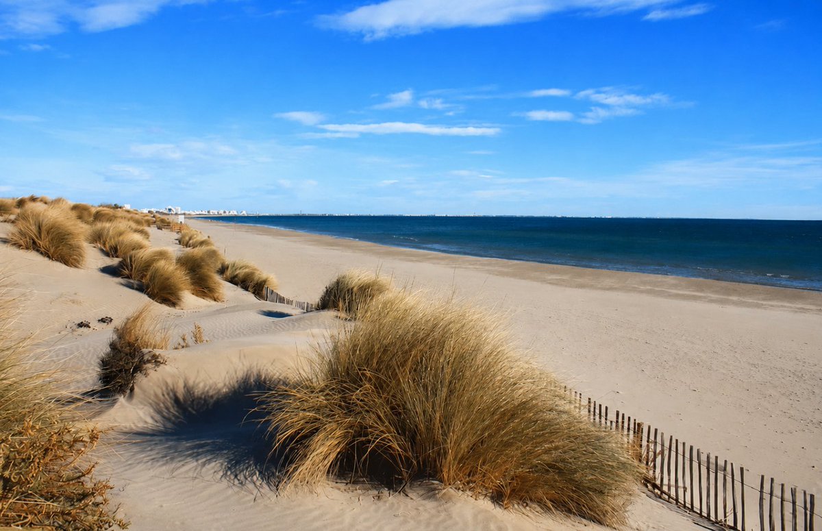 Travelsandphoto's tweet photo. Escapade vers l'infini bleu.
Photographie numérique à retrouver ici :
https://t.co/VEfTtHTe1B
#plage #vacances #summer #estival https://t.co/aaMRyWMrvx