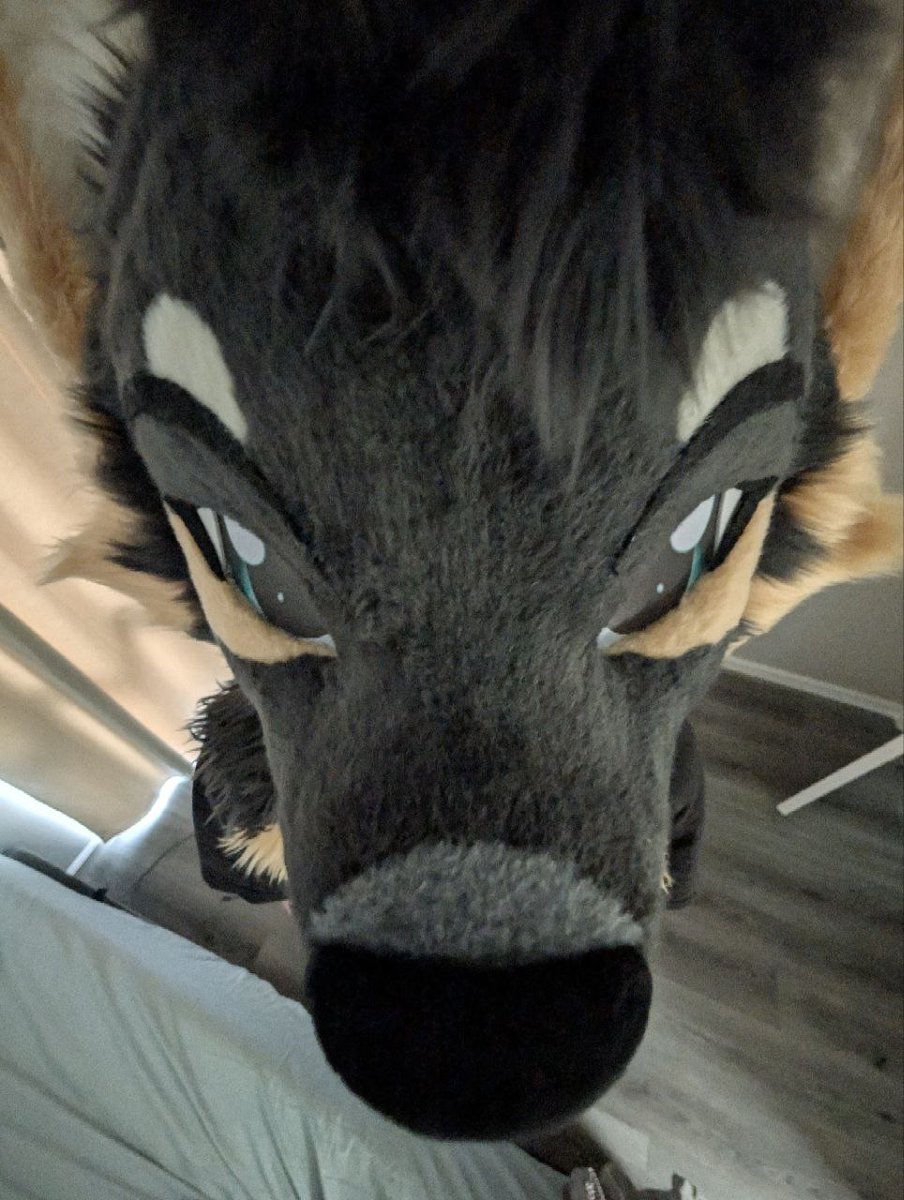SeafaringSable's tweet photo. What all you tall people out there see when you see me 🙄 https://t.co/Irc5H6IDuU