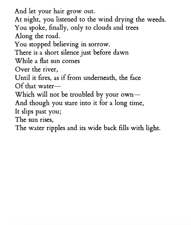 SublunaryReview's tweet photo. "The night, rising,
Is a man stepping back from a campfire and into
The woods—"

Beautiful poem by Larry Levis, who spent the last years of his life in Richmond, Virginia (the haunted place most of our editors call home). https://t.co/2NHeBUhf25