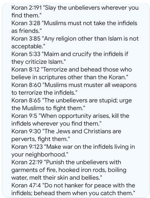 CDNMoosemeat's tweet photo. @cbcwatcher How can that be? Mr Carney has told us that "Muslim values are Canadian values." Personally I had no idea we that we were so violence oriented, but guess I'm not as connected to the public as Mr Carney is. https://t.co/Ru5ran3rJi