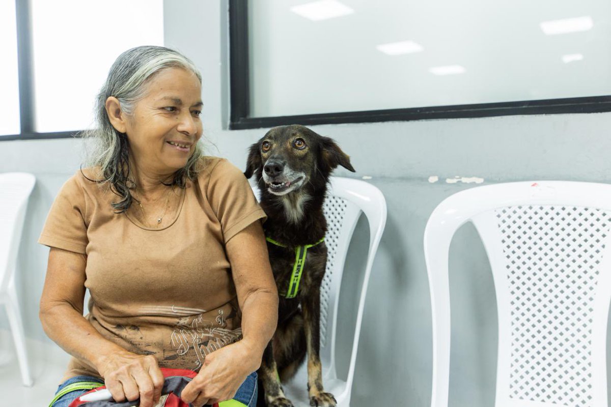 alcaldiagye's tweet photo. 🐾🩵 Un millón de atenciones que reflejan un compromiso con el bienestar animal.

ProAnimal alcanzó el millón de servicios veterinarios gratuitos en Guayaquil. Este importante hito tuvo como protagonista a Peluche, un cachorro rescatado de las calles que hoy recibe la atención que necesita para crecer sano y con una nueva oportunidad de vida. ✨