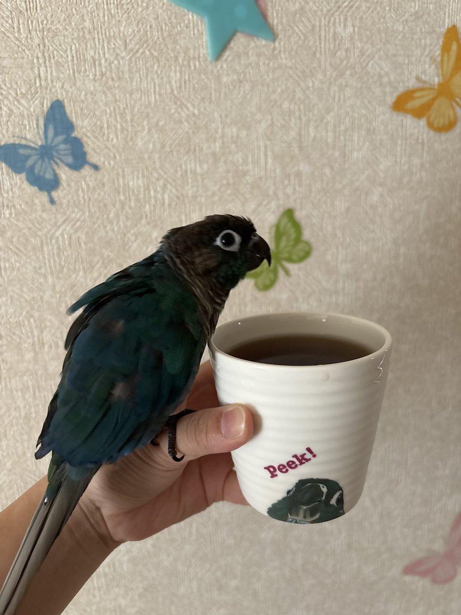 hukuzo131's tweet photo. 朝の1杯😎👍🏻✨（麦茶） https://t.co/kYRAxmXCbC
