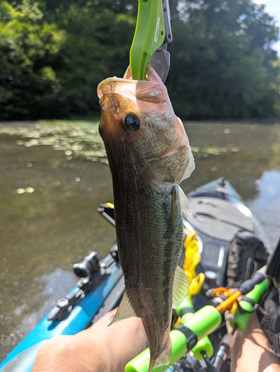 justgetoutside's tweet photo. Another good day at the river. https://t.co/XeqZ72QwoT