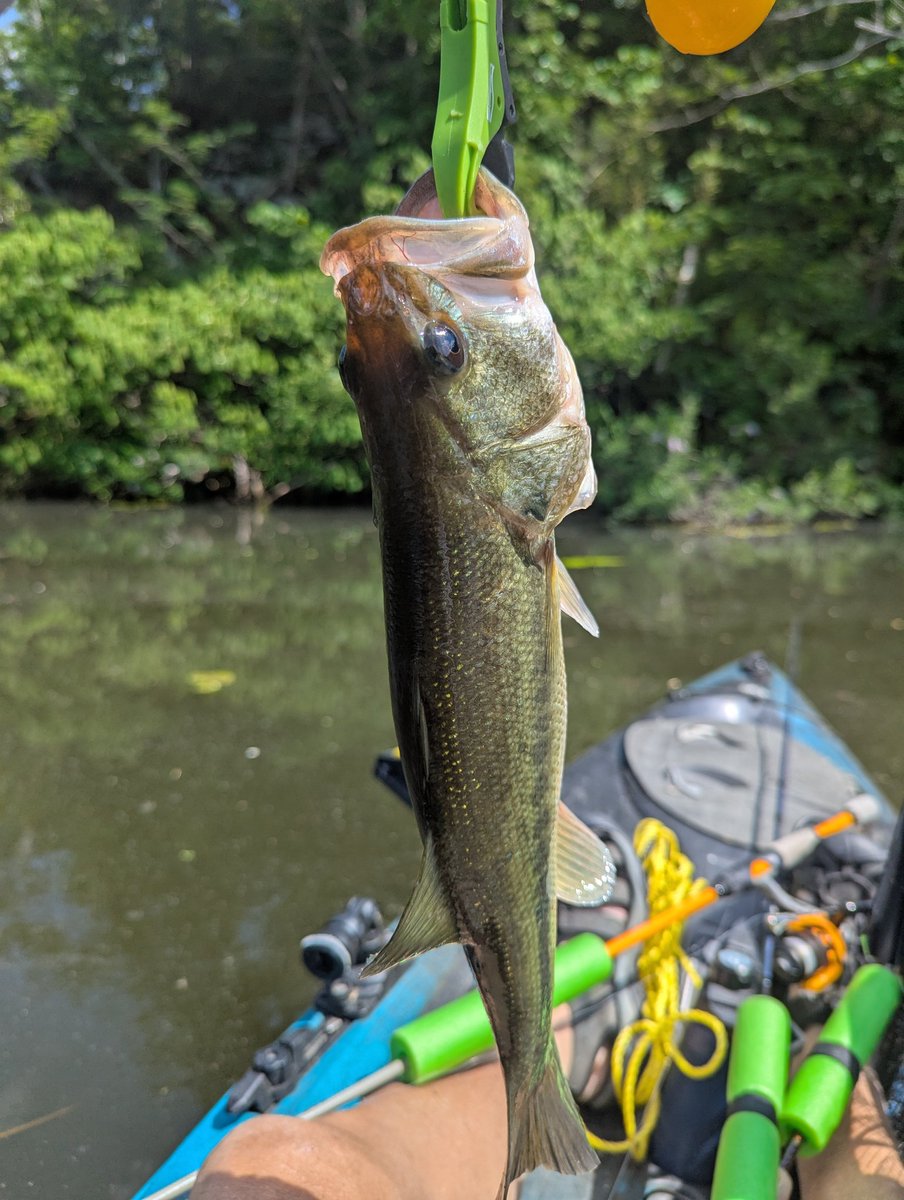 justgetoutside's tweet photo. Another good day at the river. https://t.co/XeqZ72QwoT
