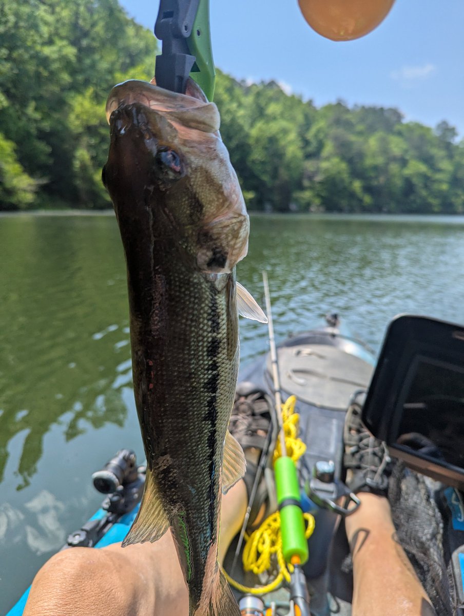 justgetoutside's tweet photo. Another good day at the river. https://t.co/XeqZ72QwoT