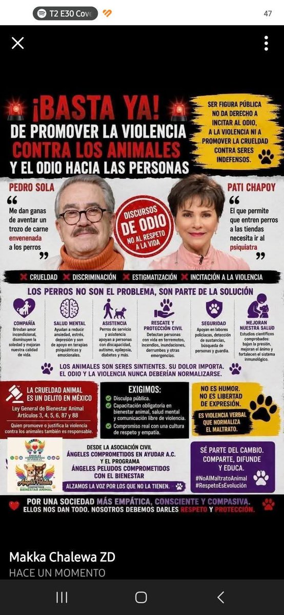 DesaparecidosVERACRUZ tweet media