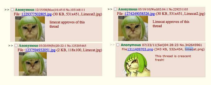 karatzntlsv's tweet photo. Limecat is cat

He has lime on head

He looks mad

Internet saw this and said, “yes, king”

That is the whole thing

Limecat just sits there with lime head and everyone understands he is important

He is the boss of cats because look at him

You cannot argue with that face https://t.co/PLWgo1yZYt