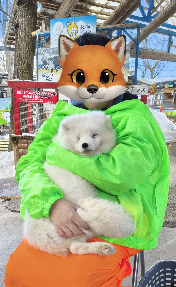 mo_cha_chi's tweet photo. 同じホキョが冬にはこうなります https://t.co/H4kC7JEh6j