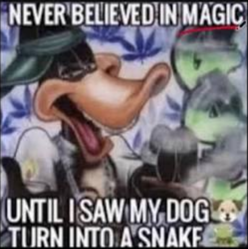 Logic7337's tweet photo. @ZekeNotGio777 https://t.co/A2MldB9MYw
