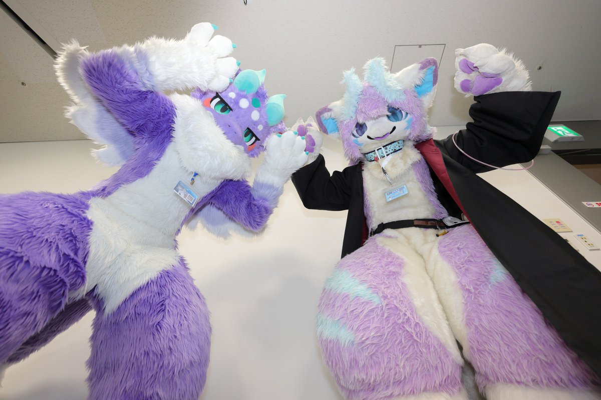 CheetahSuki's tweet photo. がおー
#ぶいもふ #FursuitsFriday
📸あるふぁさん #alphaLS https://t.co/PTr0TbpeKl