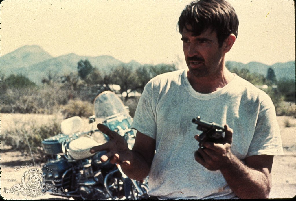 ArchieDuke14's tweet photo. @SkinTrader2 Great film - so much to enjoy - John Fordian use of landscapes, real characters and details like when Davis shoots at him Wintergreen instinctively looks behind him to see where the bullets that miss will land "sight picture" - good police procedure which Davis has forgotten. https://t.co/owLZwqhwR9