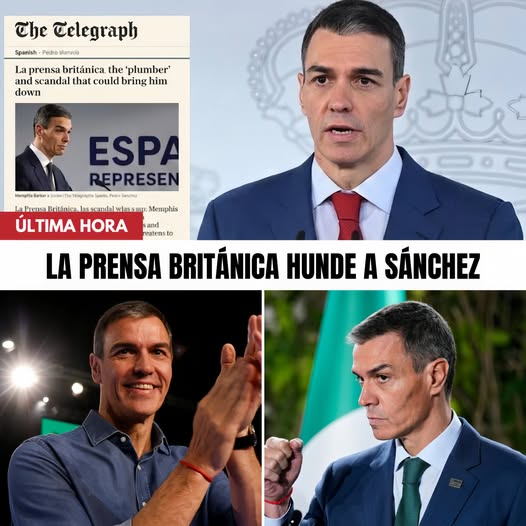 Rober_Alcaz's tweet photo. ¡SÁNCHEZ HUMILLADO ANTE EL MUNDO!  El prestigioso diario británico The Telegraph destroza sin piedad al presidente de España y lo rebautiza como “Pedro el Tramposo” por su escandalosa montaña de corrupción. ¡El hedor de la Moncloa ya se respira en toda Europa!
¡Miserable! https://t.co/oRzIEHKcq2