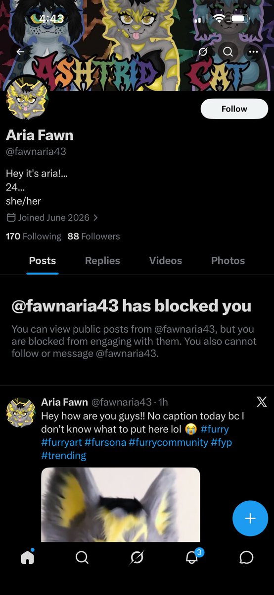 Ashtrid Cat tweet media
