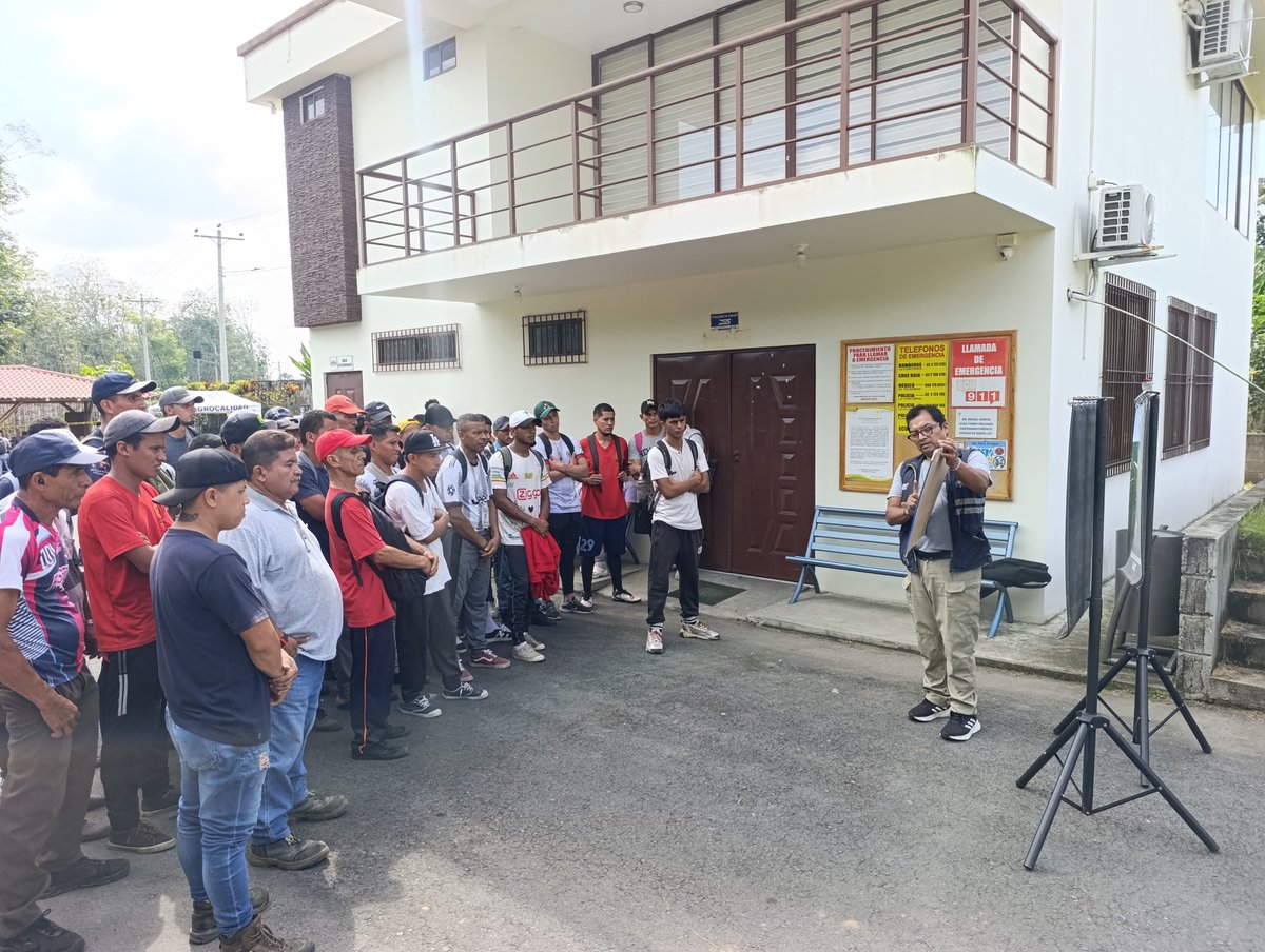 AgrocalidadZ4's tweet photo. #SantoDomingo | Capacitamos a colaboradores de Tecnoban 🍌🌱 sobre medidas de bioseguridad e identificación de síntomas de moko y Foc R4T; fortaleciendo la detección oportuna y la sanidad de los cultivos de musáceas. 
#ProtegeTusCultivos https://t.co/1ntZ1I7lEk