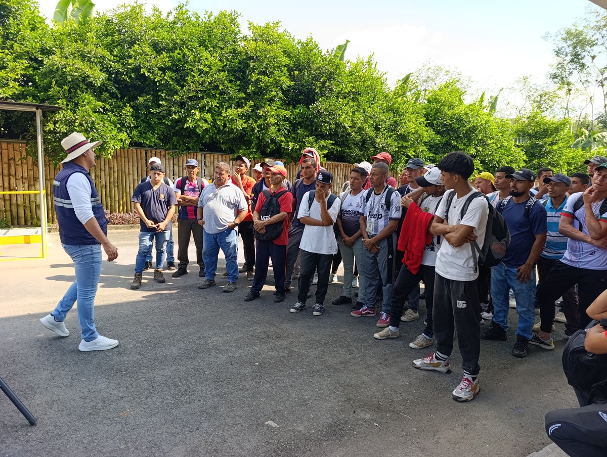 AgrocalidadZ4's tweet photo. #SantoDomingo | Capacitamos a colaboradores de Tecnoban 🍌🌱 sobre medidas de bioseguridad e identificación de síntomas de moko y Foc R4T; fortaleciendo la detección oportuna y la sanidad de los cultivos de musáceas. 
#ProtegeTusCultivos https://t.co/1ntZ1I7lEk
