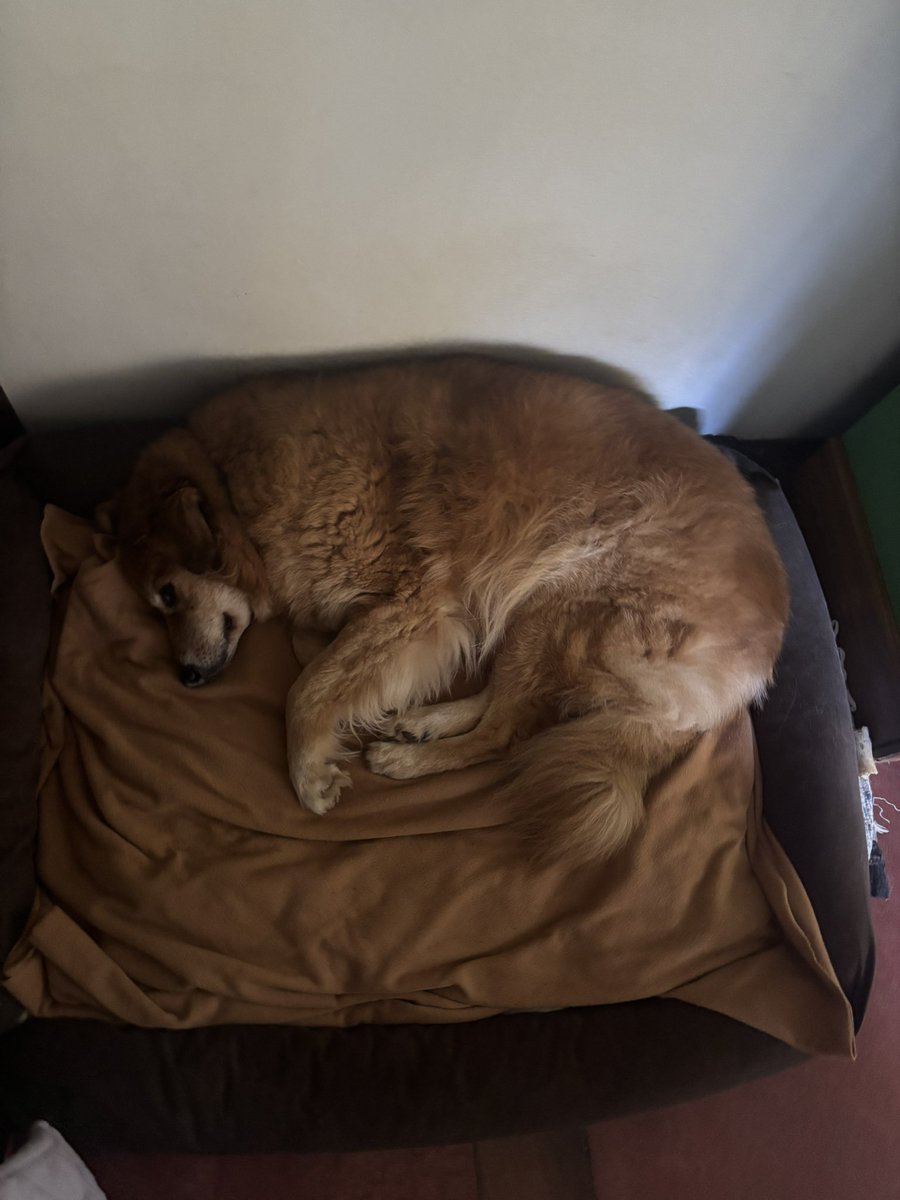 martchens's tweet photo. recuperamo a bola https://t.co/PXmFiHaoGT
