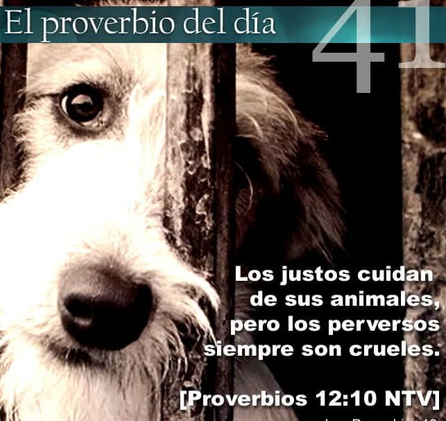 DesaparecidosVERACRUZ tweet media
