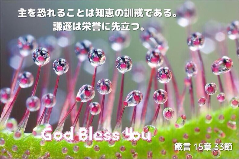 Seonny2's tweet photo. 主を恐れることは知恵の訓戒である。 謙遜は栄誉に先立つ。 https://t.co/Zh8PHxY9E8
