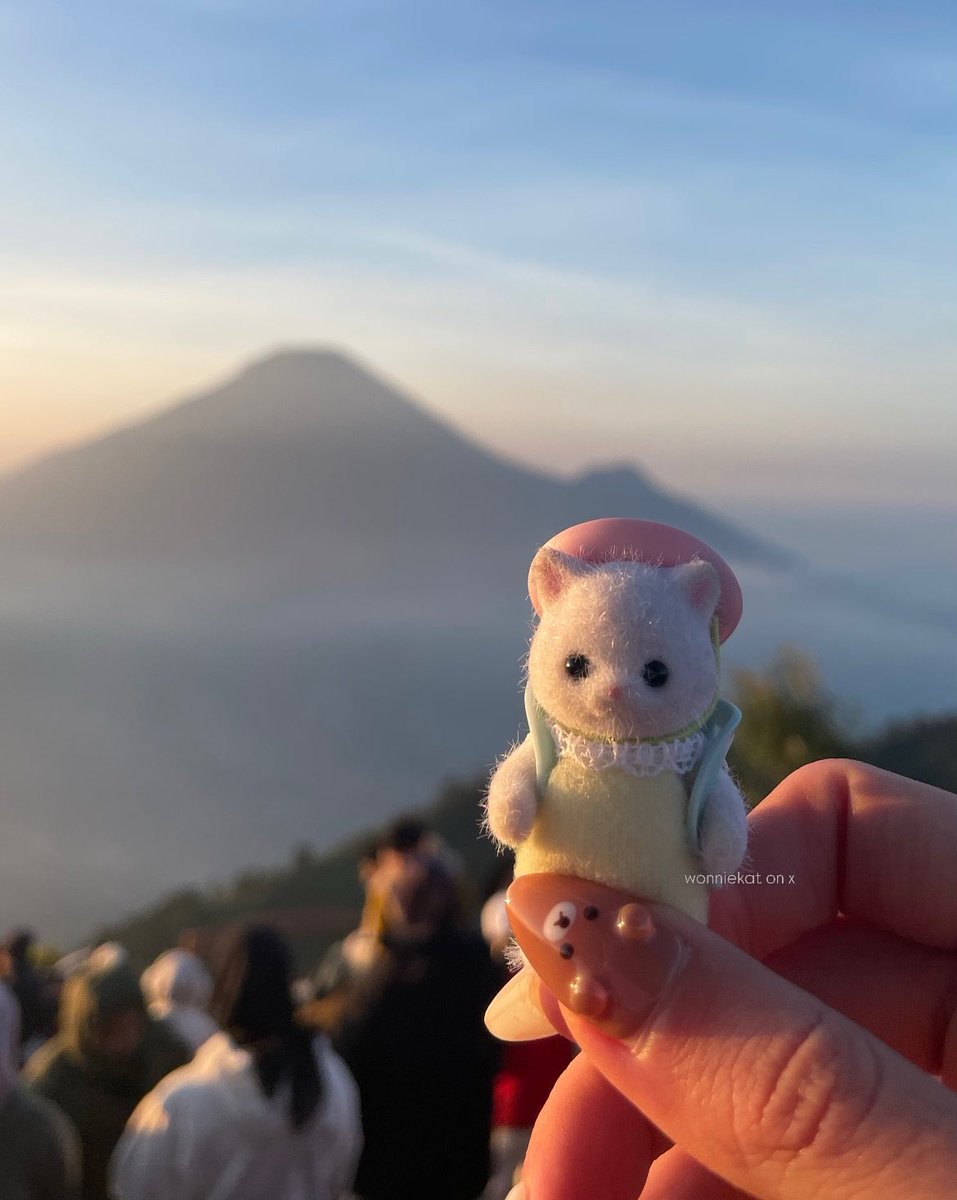 wonniekat's tweet photo. 🧗🏻‍♀️🥾dieng – 2263 mdpl <𝟑 .ᐟ https://t.co/Jvvxs8yLA6