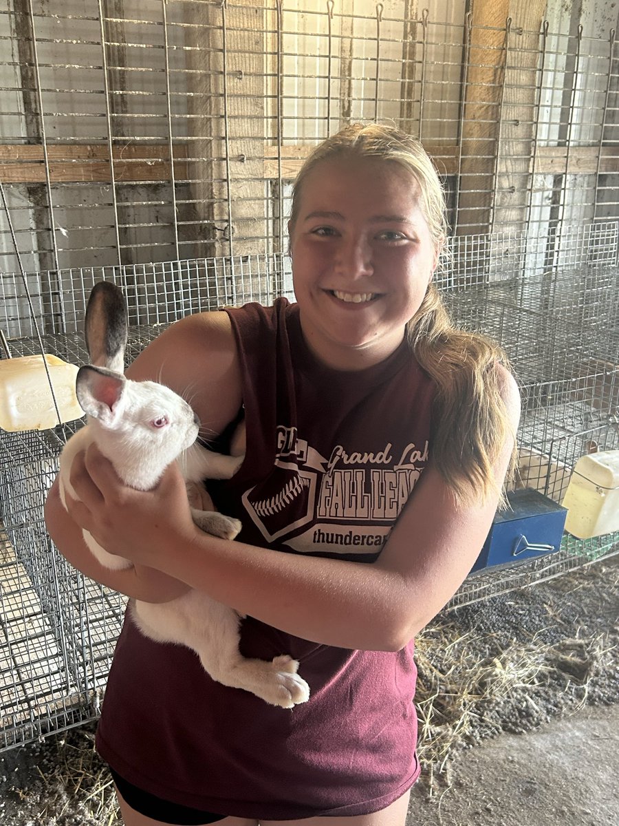 FLFFA's tweet photo. This SAE project is in full swing as the county fair rapidly approaches. Rose will be exhibiting her market rabbits this year and has been feeding and watering them since birth. Rose plans to handle and work with her rabbits daily as we move closer to show day. Great work! https://t.co/GavmP2Omsr