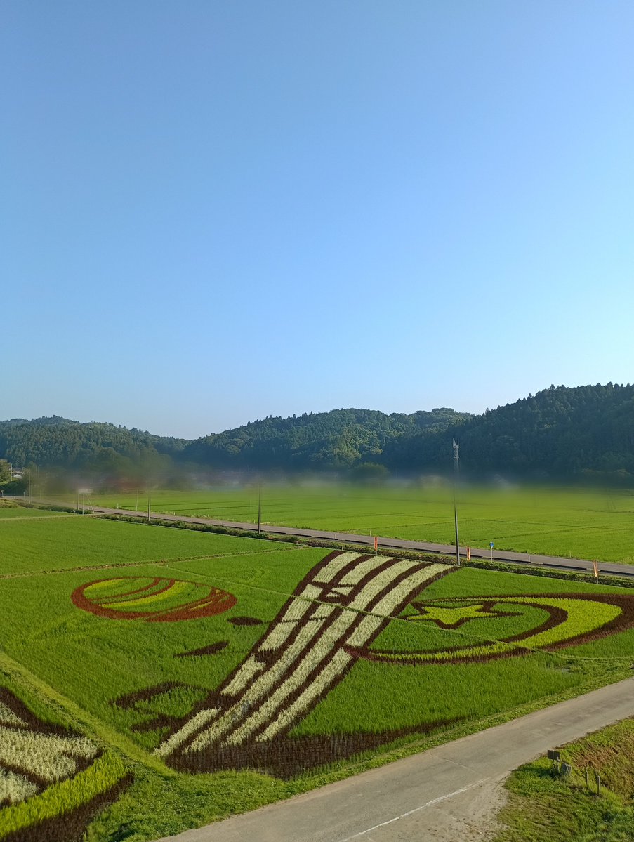 date_tedukuri's tweet photo. 2026年、西根田んぼアートは、42日目。

雲ひとつ無い、快晴。☀

今日は一段と暑くなりそうです。
アートは益々彩度アップ🆙
今の時期だと、稲の高さが同じなので,鮮やかに見えます。 https://t.co/vYvzAPzAw3