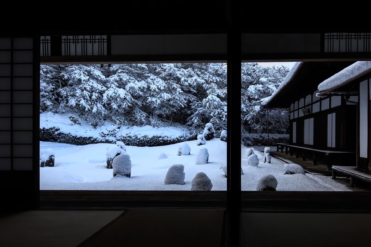 naturehealyou's tweet photo. seasons in japan https://t.co/8nEP1hEfL4