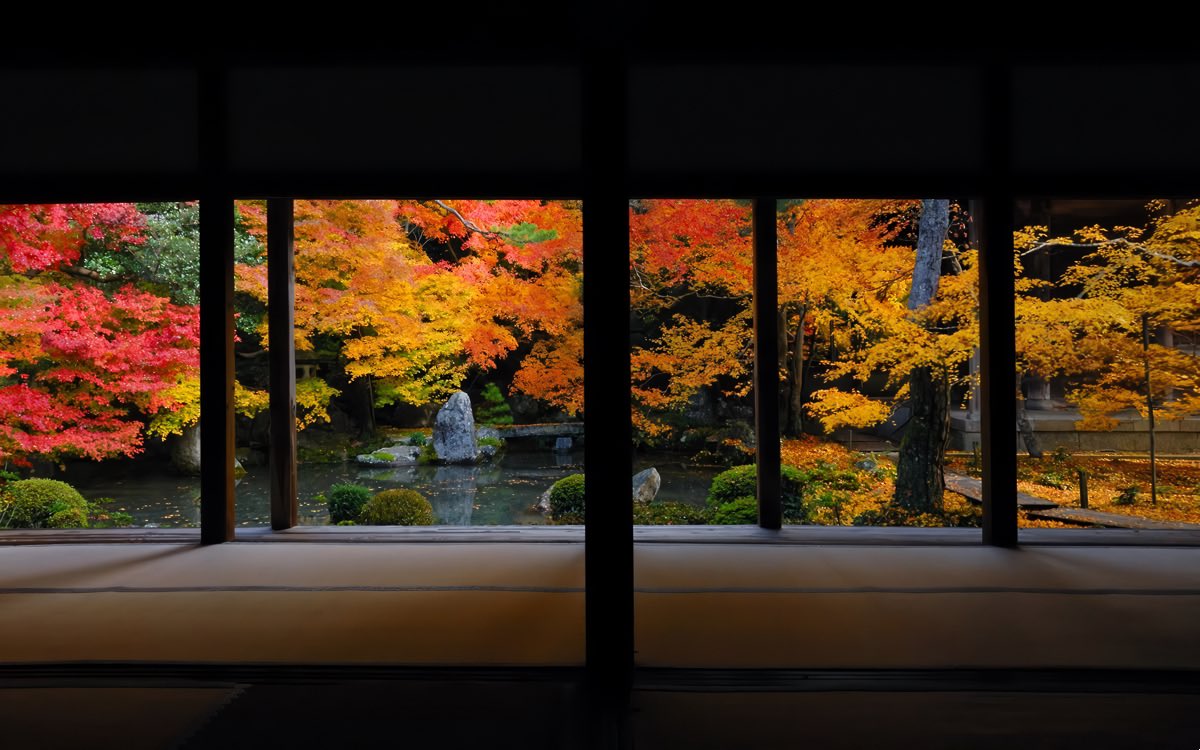naturehealyou's tweet photo. seasons in japan https://t.co/8nEP1hEfL4