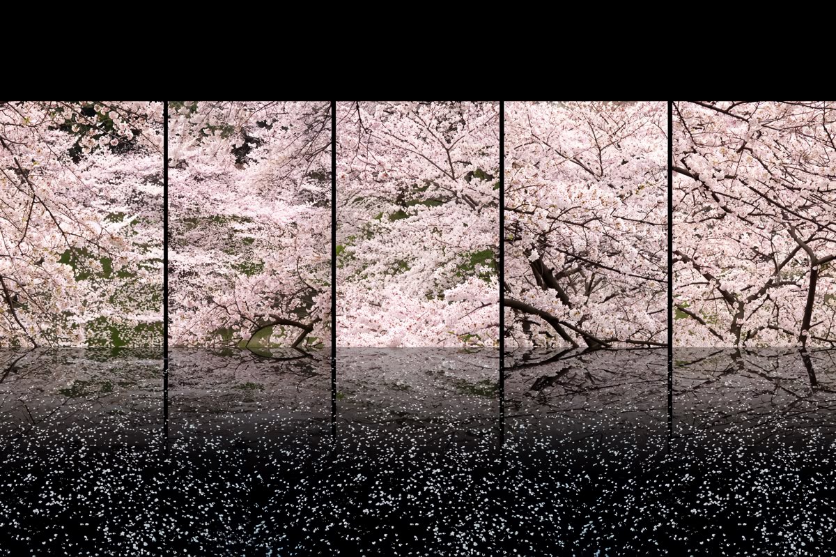naturehealyou's tweet photo. seasons in japan https://t.co/8nEP1hEfL4